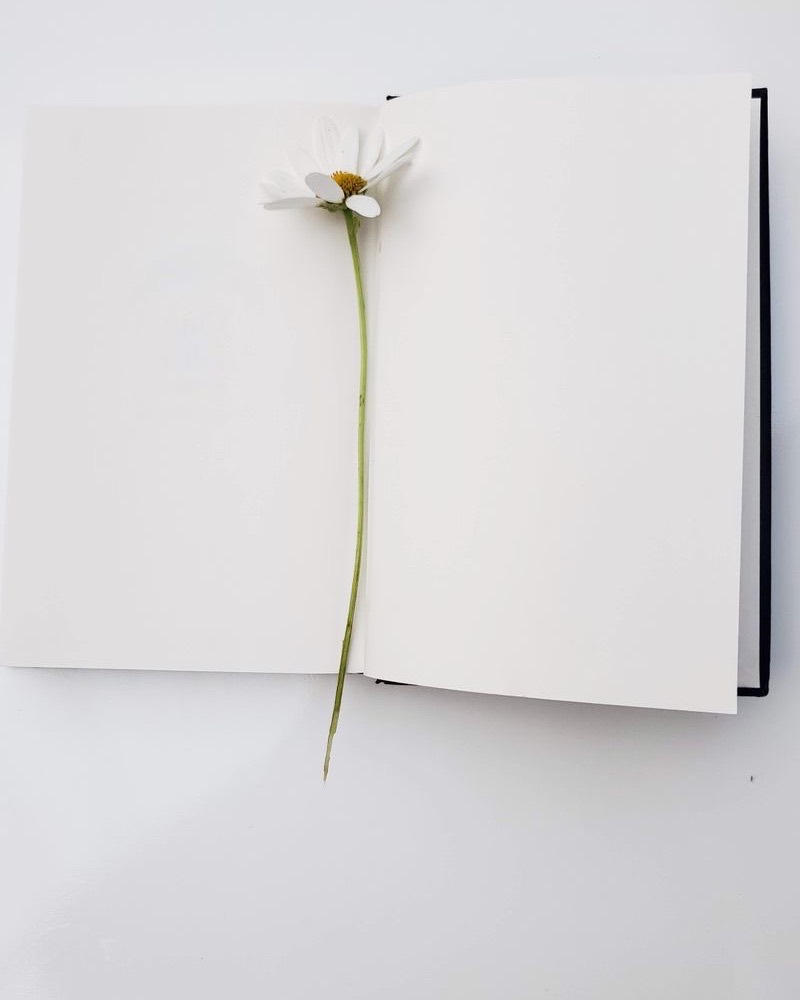 Encre Nuit — Kura